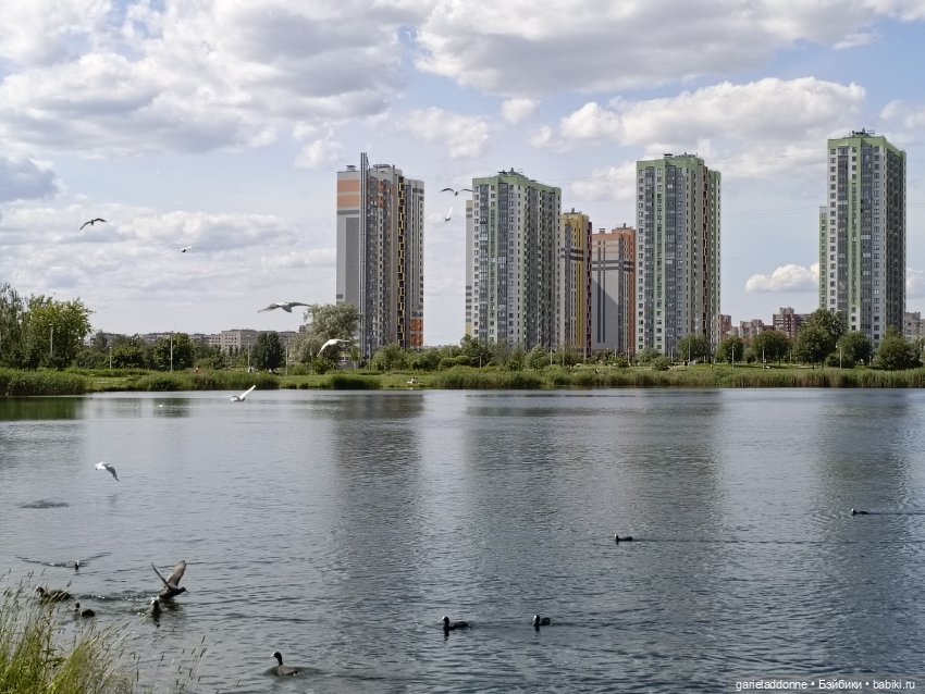 Летопись Октопуса часть 9