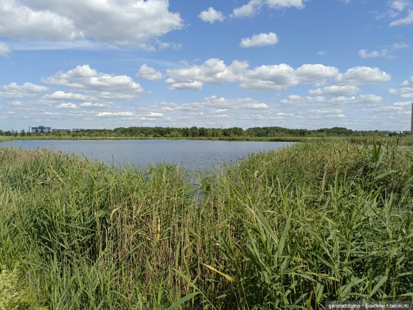 Летопись Октопуса часть 9