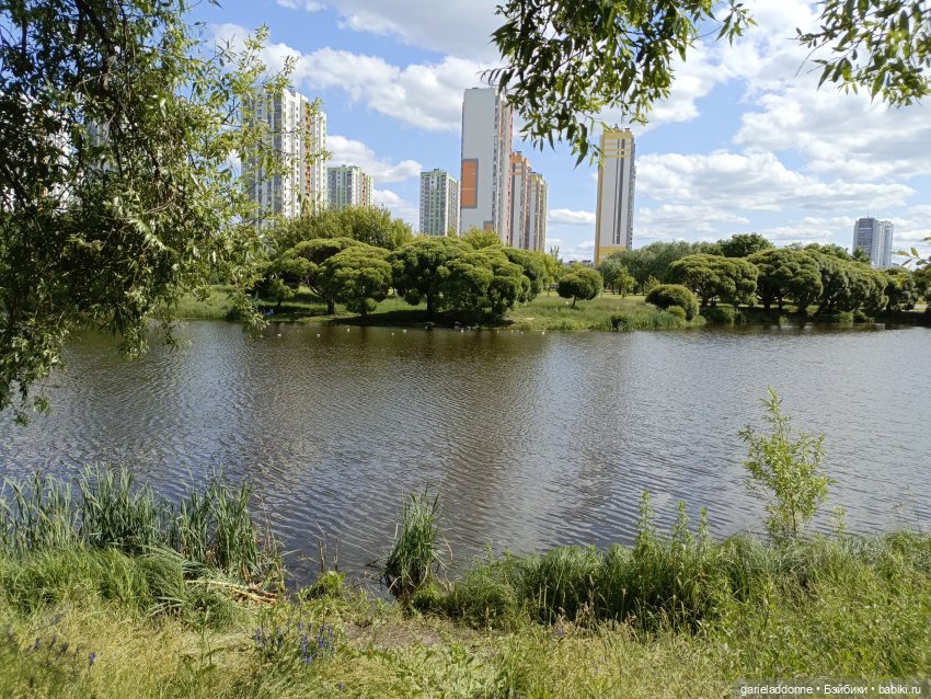 Летопись Октопуса часть 9 (фото 10)