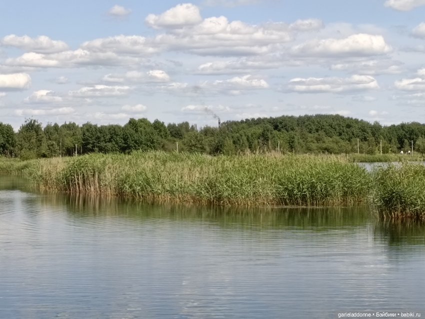 Летопись Октопуса часть 9