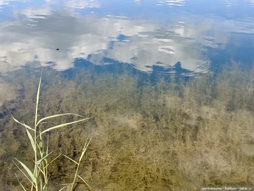 Летопись Октопуса часть 9