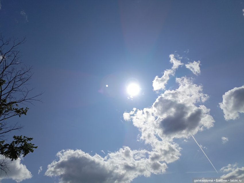 Летопись Октопуса часть 9