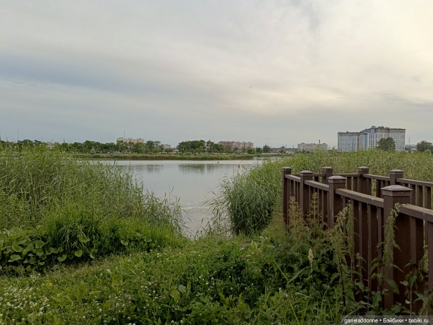 Летопись Октопуса часть 11