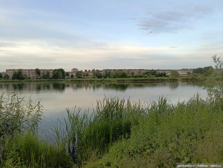 Летопись Октопуса часть 12