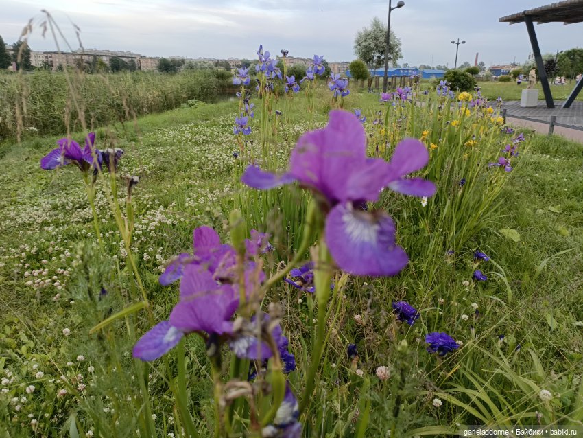 Летопись Октопуса часть 12