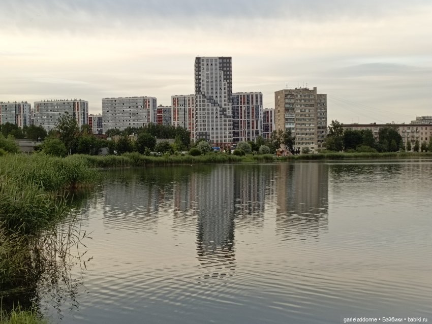 Летопись Октопуса часть 11 (фото 5)