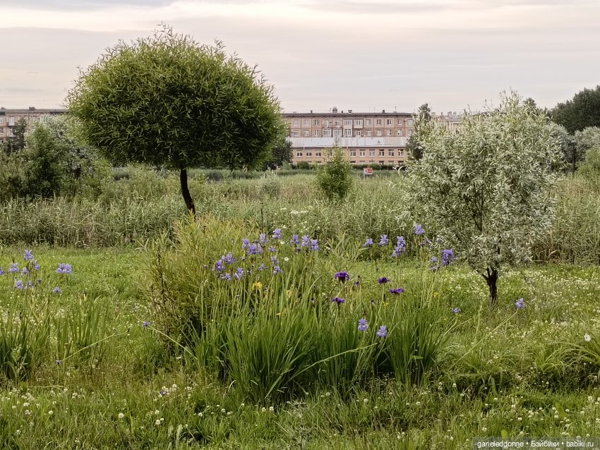 Летопись Октопуса часть 12