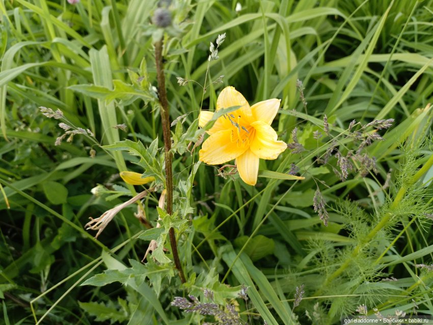 Летопись Октопуса часть 12 (фото 6)