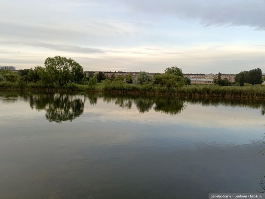 Летопись Октопуса часть 12