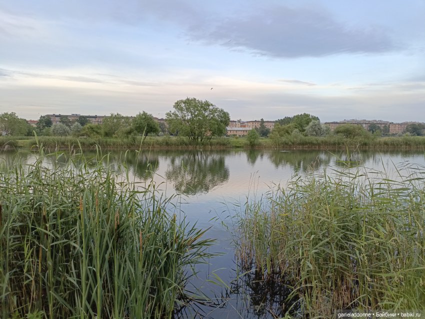 Летопись Октопуса часть 12