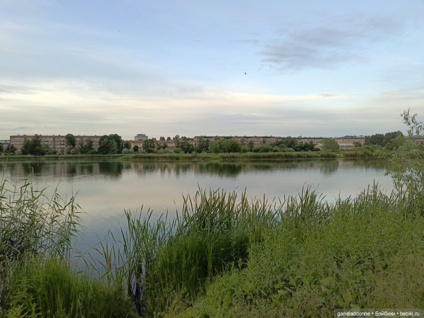 Летопись Октопуса часть 12