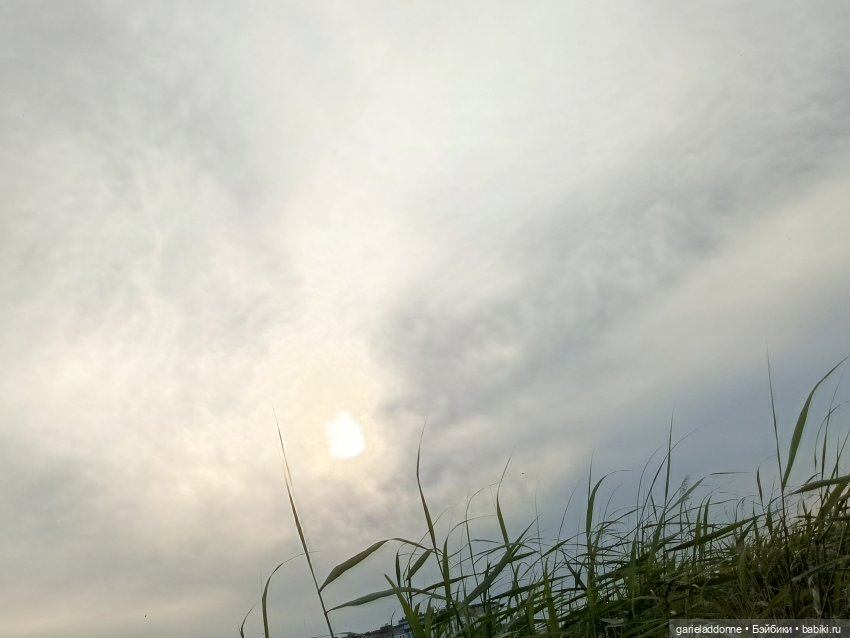 Летопись Октопуса часть 11 (фото 7)