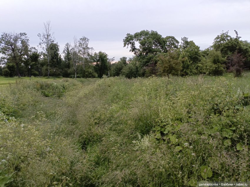 Летопись Октопуса часть 12