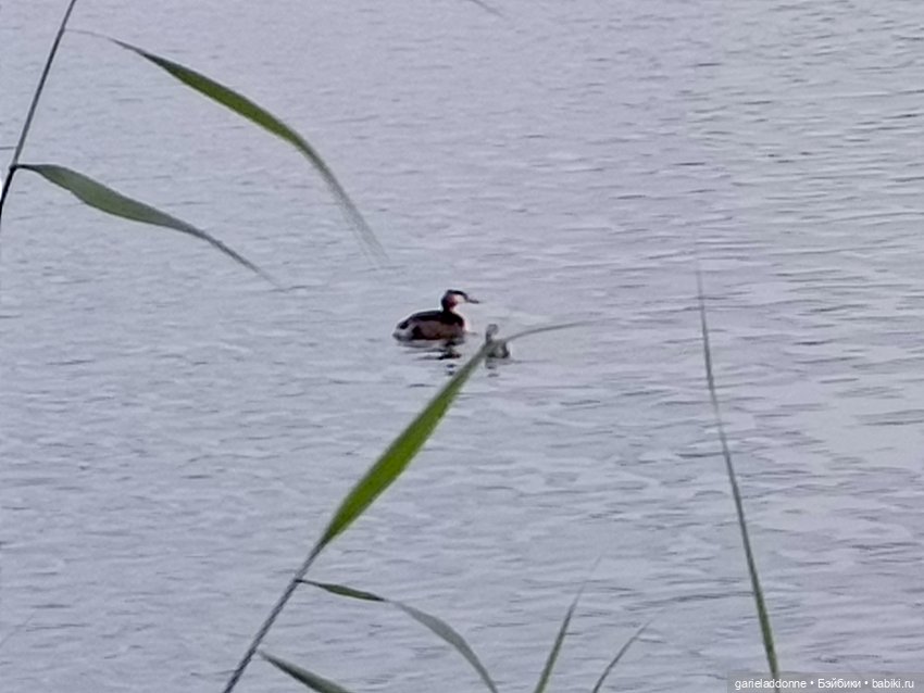 Летопись Октопуса часть 12 (фото 10)