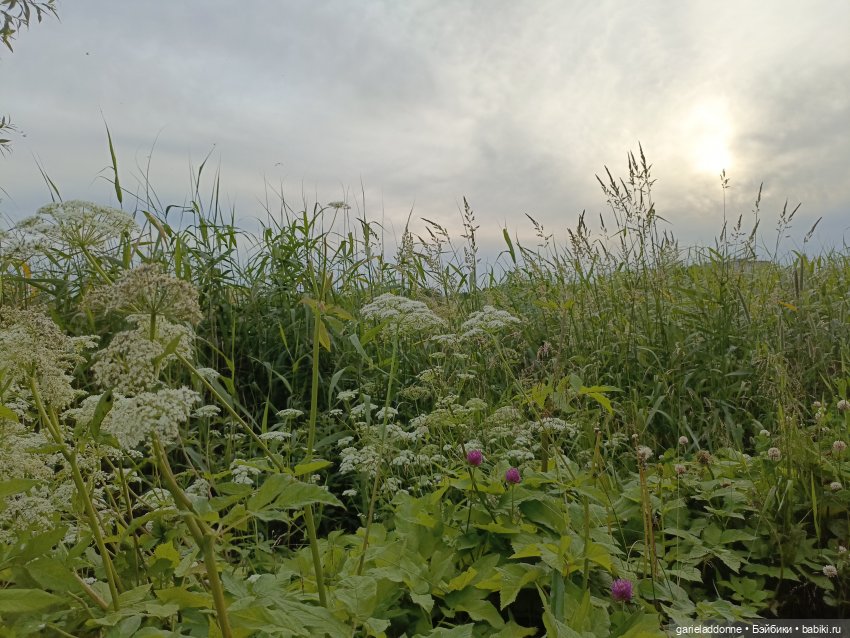 Летопись Октопуса часть 11 (фото 4)