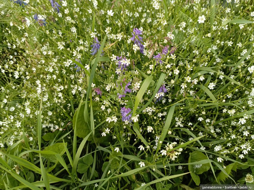 Летопись Октопуса часть 11 (фото 9)