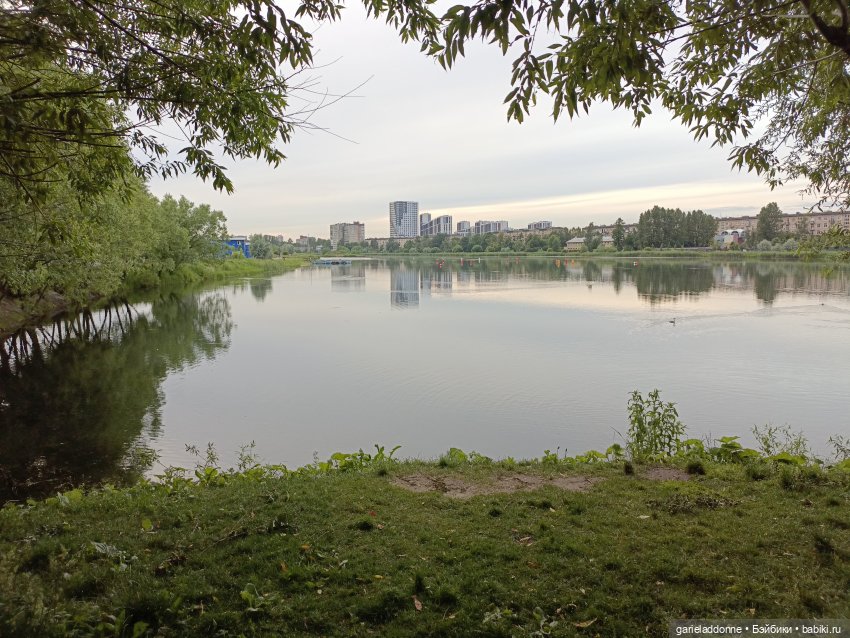 Летопись Октопуса часть 12