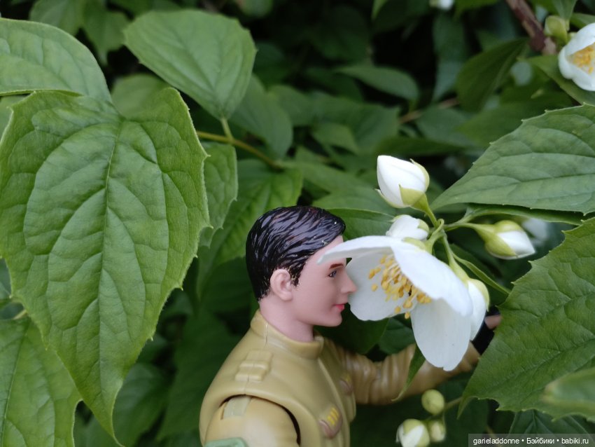 Летопись Октопуса часть 12