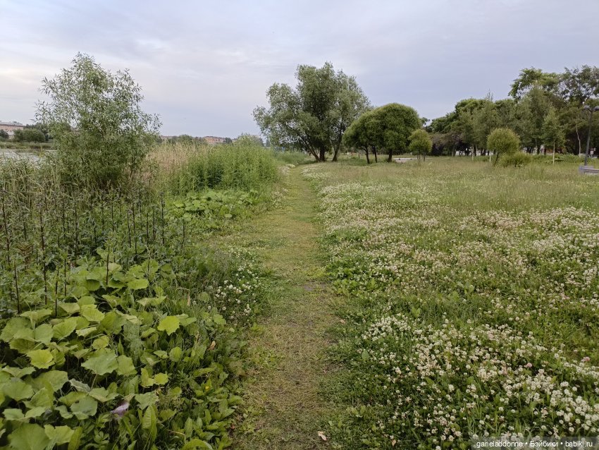 Летопись Октопуса часть 12