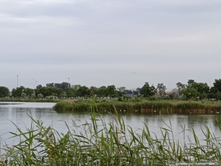 Летопись Октопуса часть 12 (фото 7)