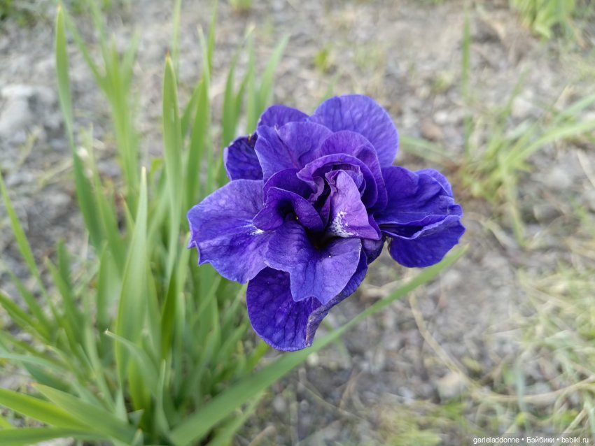 Летопись Октопуса часть 11 (фото 3)