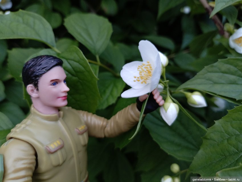 Летопись Октопуса часть 12