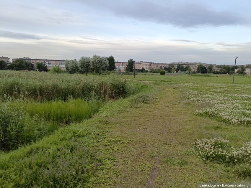 Летопись Октопуса часть 12