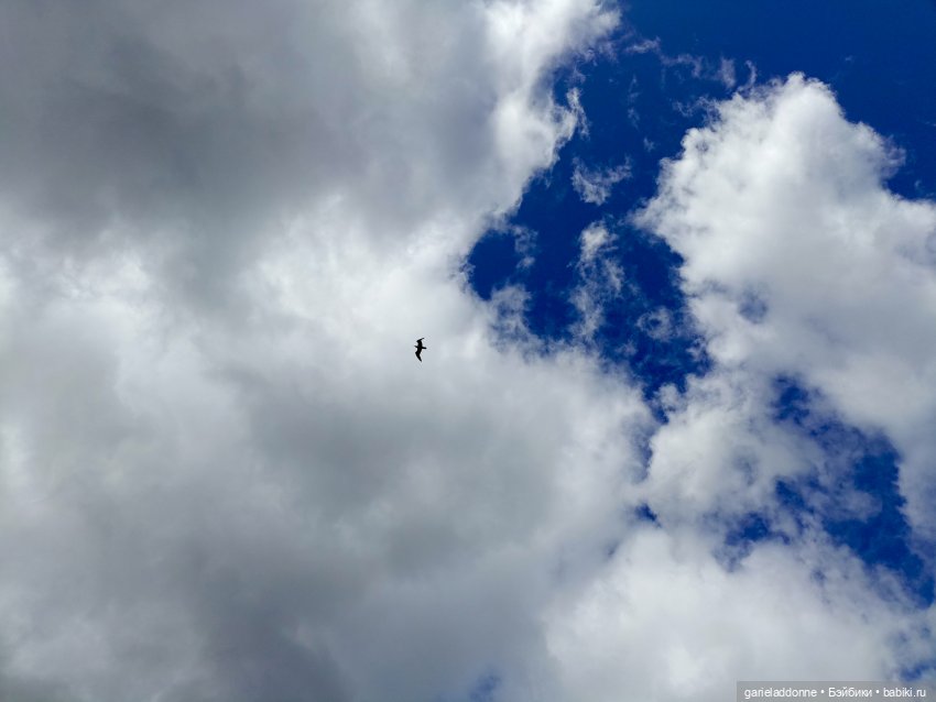 Летопись Октопуса часть 14 (фото 9)