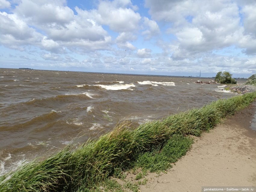 Летопись Октопуса часть 14