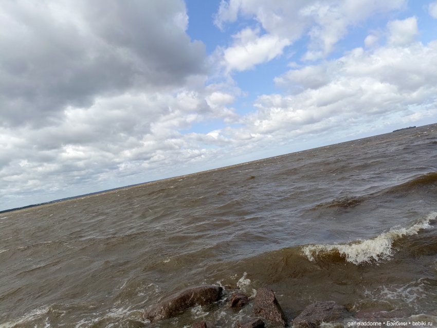 Летопись Октопуса часть 14 (фото 5)