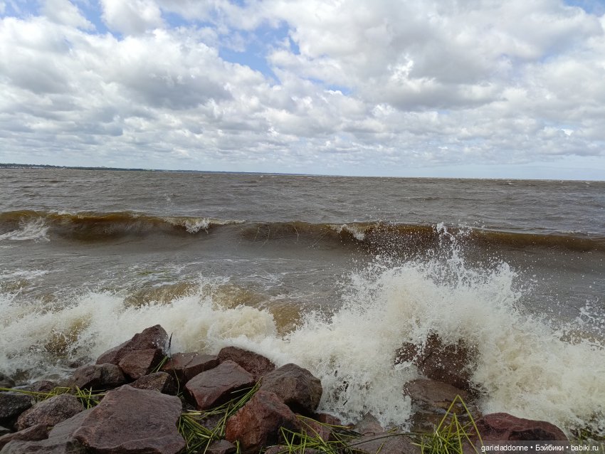 Летопись Октопуса часть 14