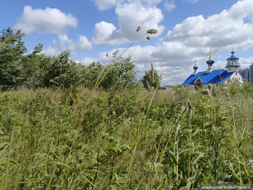 Летопись Октопуса часть 14