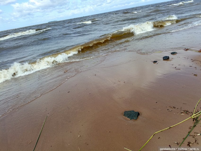 Летопись Октопуса часть 14