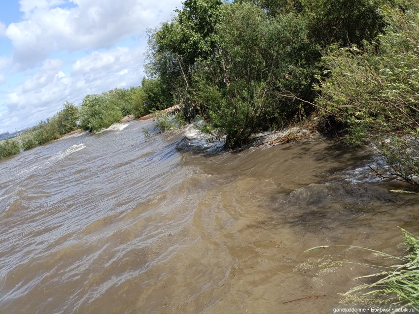 Летопись Октопуса часть 14