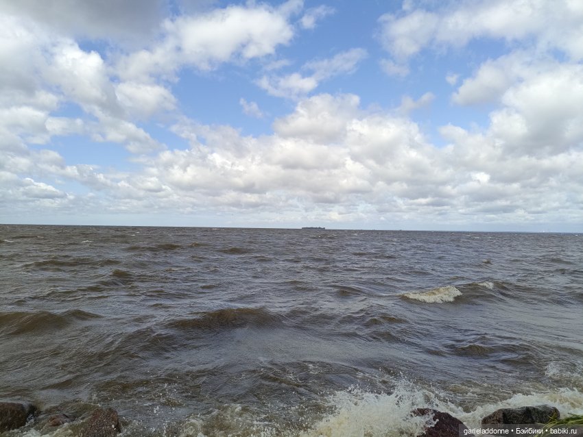 Летопись Октопуса часть 14 (фото 8)