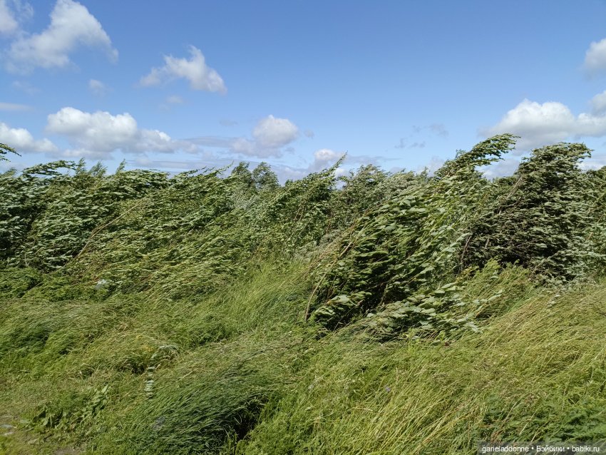 Летопись Октопуса часть 14