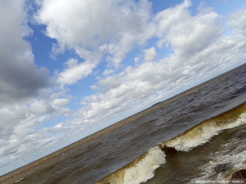 Летопись Октопуса часть 14 (фото 10)