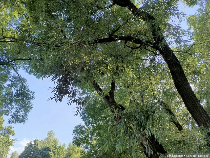 Пять лодок с Юга часть 1 — Зарисовки из кукольной жизни: фотоистории