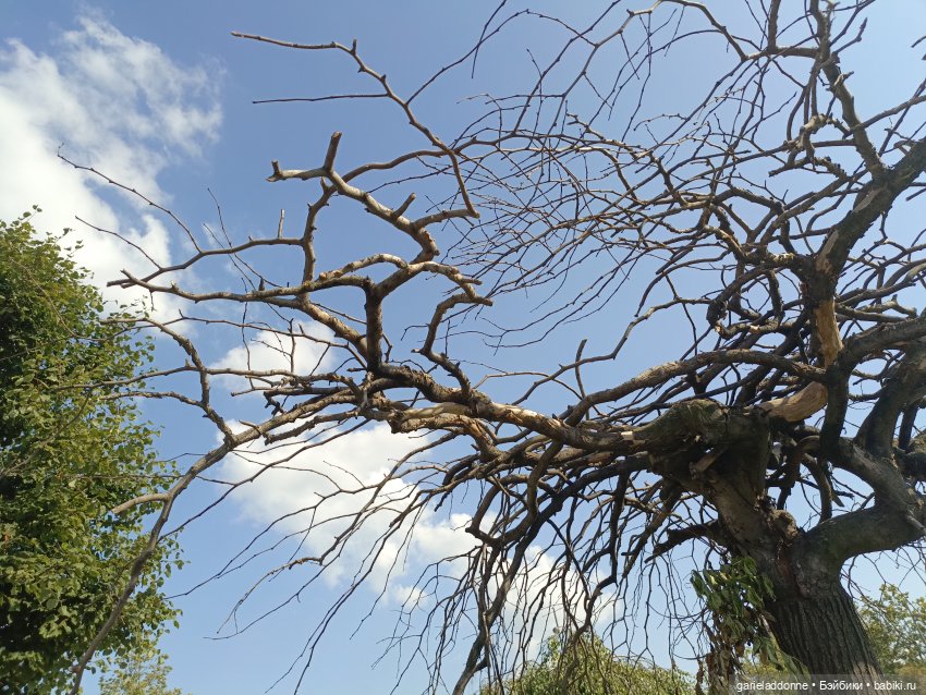 Пять лодок с Юга часть 1 — Зарисовки из кукольной жизни: фотоистории