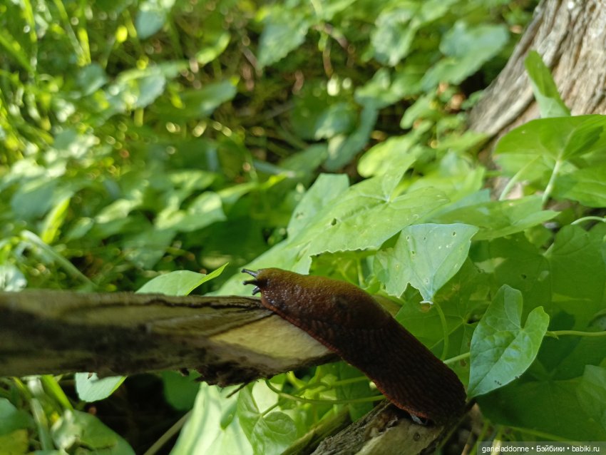Пять лодок с Юга часть 2 — Зарисовки из кукольной жизни: фотоистории