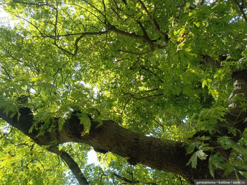 Пять лодок с Юга заключительная часть (фото 2)