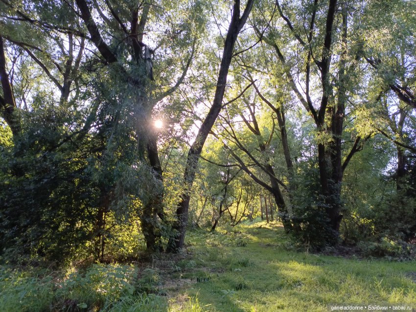 Пять лодок с Юга заключительная часть
