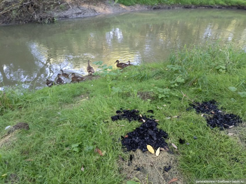 Пять лодок с Юга заключительная часть