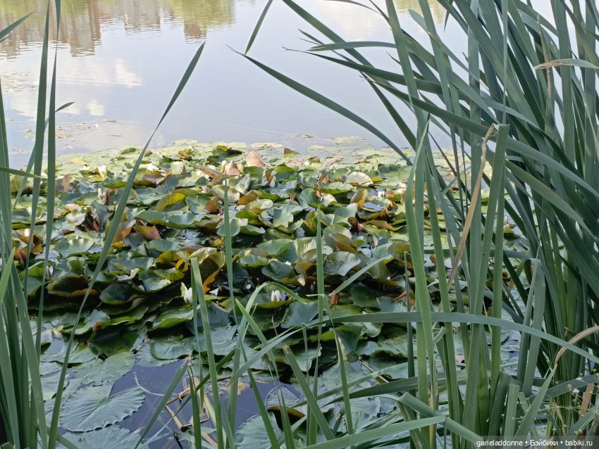 Пять лодок с Юга часть 2 — Зарисовки из кукольной жизни: фотоистории (фото 5)