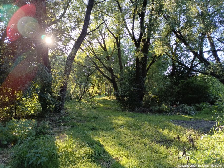 Пять лодок с Юга заключительная часть