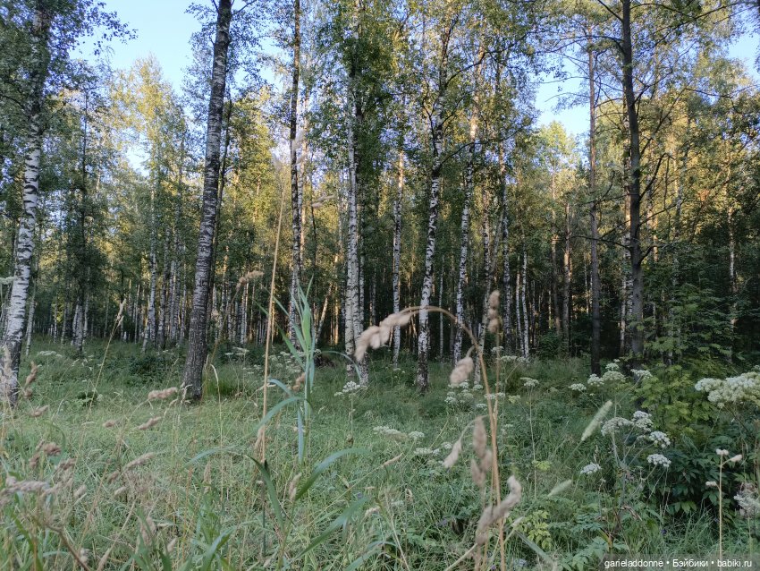 Пять лодок с Юга заключительная часть (фото 8)