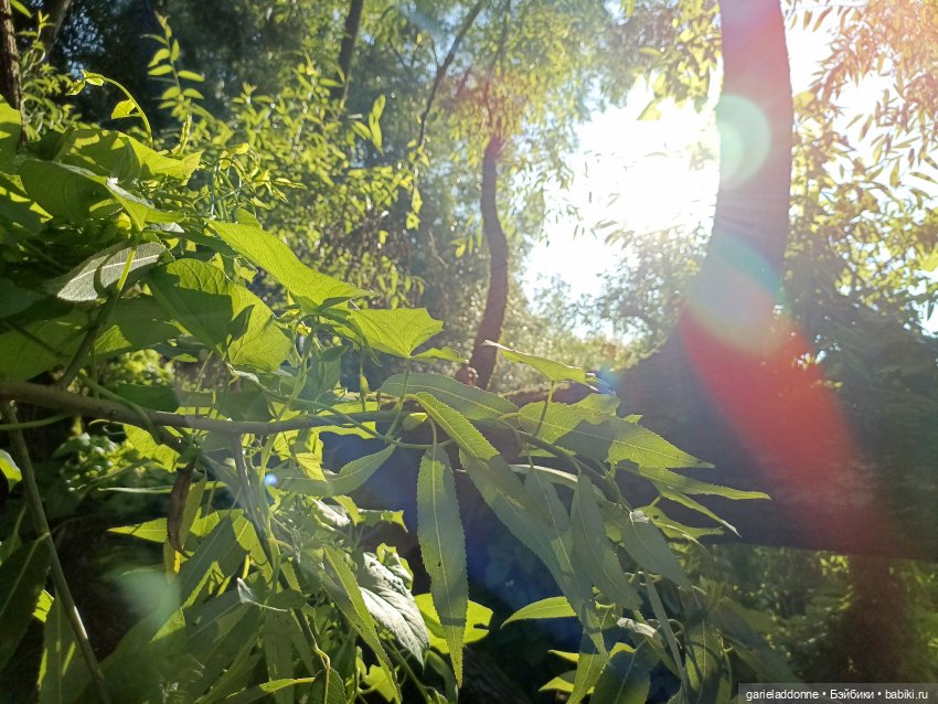 Пять лодок с Юга часть 2 — Зарисовки из кукольной жизни: фотоистории (фото 9)