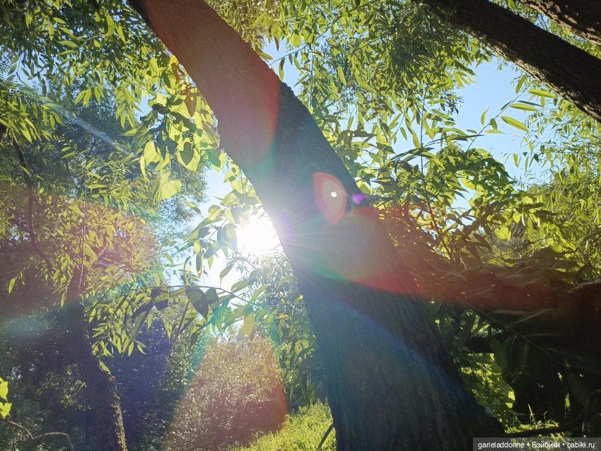 Пять лодок с Юга часть 2 — Зарисовки из кукольной жизни: фотоистории