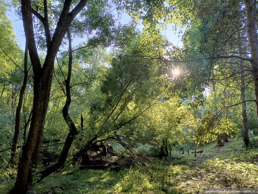 Пять лодок с Юга часть 2 — Зарисовки из кукольной жизни: фотоистории