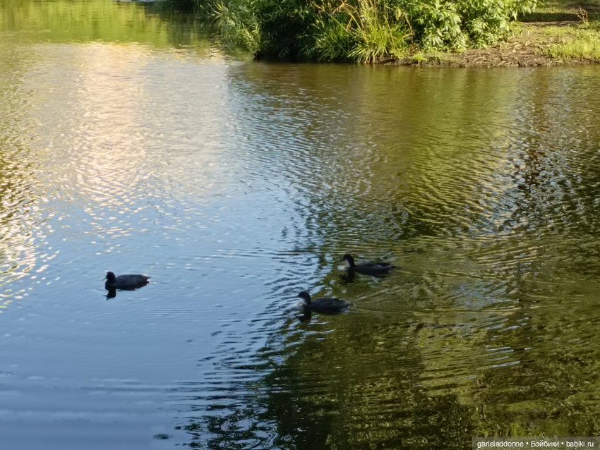 Пять лодок с Юга часть 2 — Зарисовки из кукольной жизни: фотоистории (фото 7)